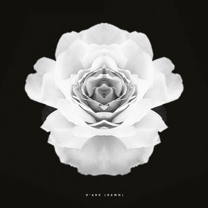 D'ark(Dawn) (Original Mix)