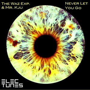 Never Let You Go (ENNE Rmx)
