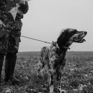 COMIN AFTER YOU (Explicit)