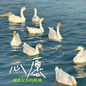 心愿 (湖水是你的眼神) (甜美版)