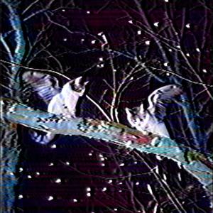 Your Face (feat. Prod.UNLUCKY)