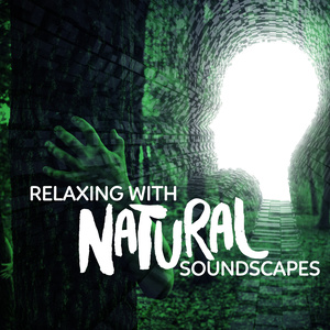 Relaxing with Natural Soundscapes