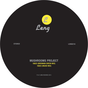 16823 (Brennan Green Remix)