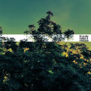 I'll prolly make a mixtape (Explicit)