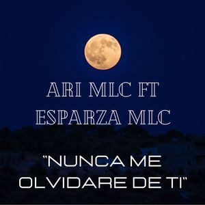 Nunca Me Olvidare De Ti Ari Mlc