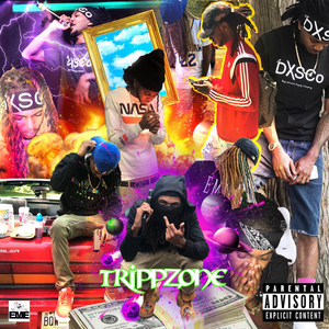 TrippZone (Explicit)