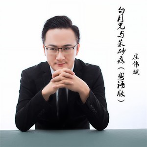 朱砂痣与白月光