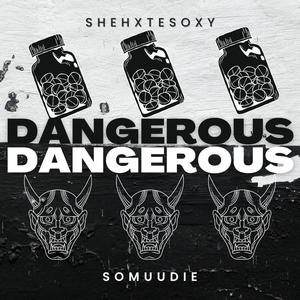Dangerous (feat. shehxtesoxy, NoLuvSchiz & Daks9k) (Explicit)