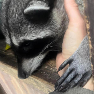 Ode to My Future Killer