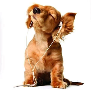 No Label (feat. Abeezy & Actually)