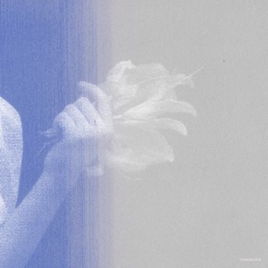 Aveyron (Emilie Levienaise-Farrouch Remix)