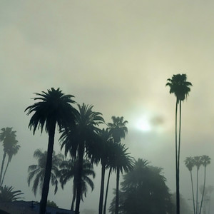 California Fog