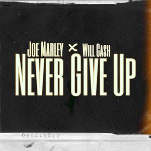 Never Give Up (feat. Will Cash) [Explicit]