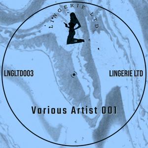 Lingerie LTD Various Artist 001