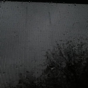 gone, not forgotten. (super slowed)