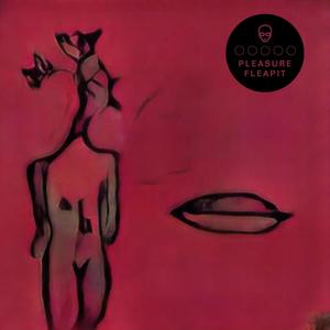 Pleasure Fleapit (Explicit)
