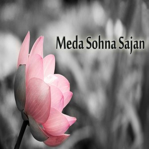 Meda Sohna Sajan