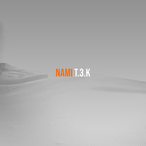 Nami (Explicit)