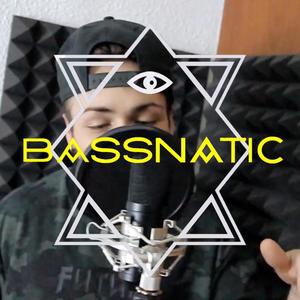 ReggaeTingz (feat. Bassnatic) (Explicit)