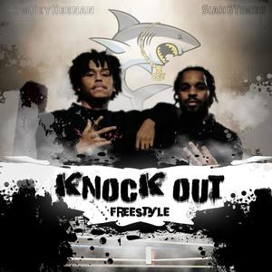 Knockout Freestyle(feat. Lowkeykeenan) (Explicit)
