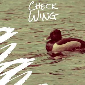 Check Wing