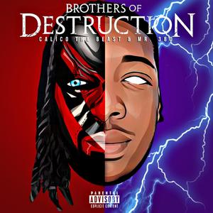 Brothers of Destruction (Explicit)