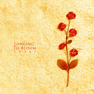 피어나는 그리움 (Longing To Bloom)