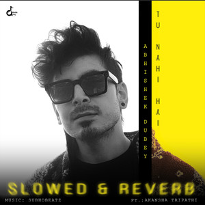 Tu Nahi Hai (Slowed and Reverb)