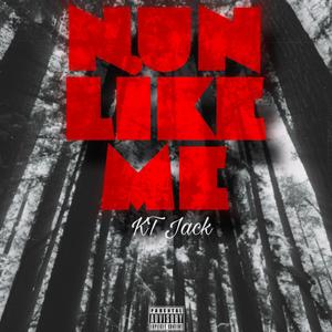 NUN LIKE ME (Explicit)