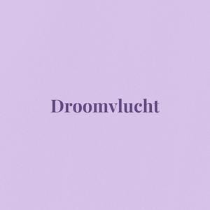 Droomvlucht