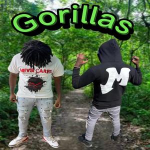 Gorillas (feat. NH Jayrock) (Explicit)