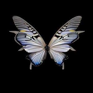 Evil Jordan (Explicit)