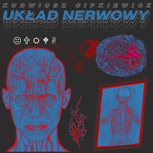 Budowa i działanie Układu Nerwowego