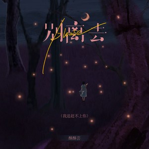 please别离去 (我追赶不上你)