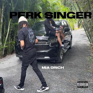 Perk Singer (Explicit)