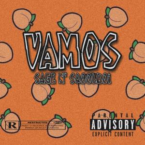 VAMOS (Explicit)