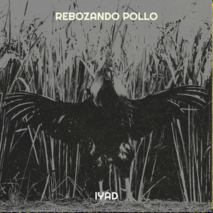 Rebozando Pollo (Explicit)