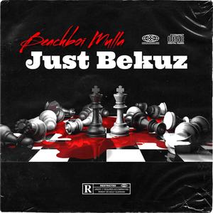 Just Bekuz (Explicit)