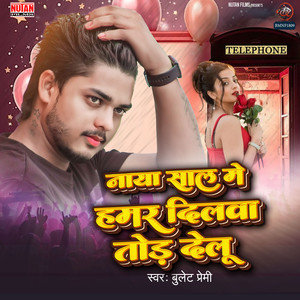 Naya Saal Me Dilawa Tod Delu