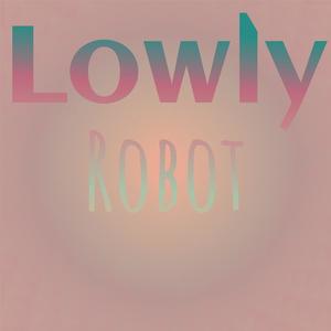 Lowly Robot