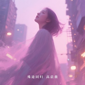 殊途同归封面