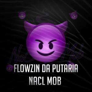 FLOWZIN DA PUTARIA (Explicit)