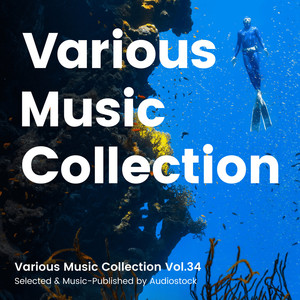 Various Music Collection Vol.35 -Selected & Music-Published by Audiostock-