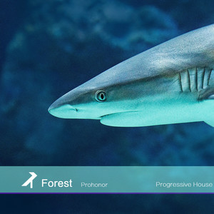 Prohonor - Forest