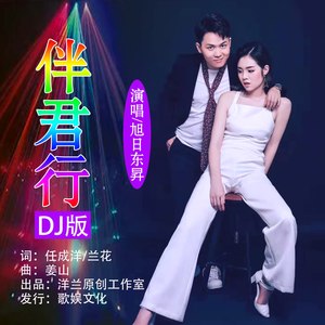 伴君行 (DJ版)
