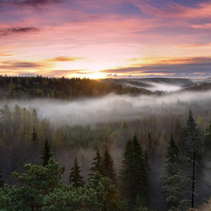 回到过去-栗月爽