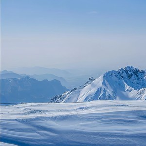 夜的第七章-王八卦