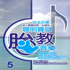 聰明寶貝胎教音樂 5 (Smart baby antenatal instruction music)