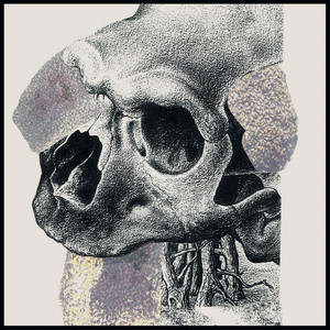 You brought me to the country!