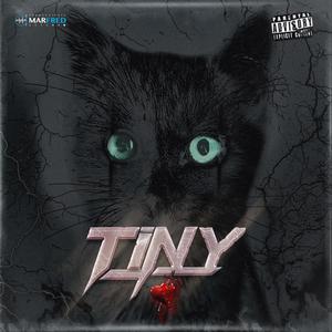 Tiny(feat. July Contreras)